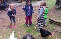 27. September - Spaß beim Hühnerfüttern. (Foto: Hellas Adlung)